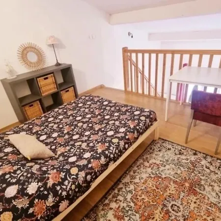 Duplex Cosy Centre דירה *